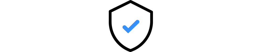 Website Security Deluxe